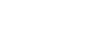2020INC logo