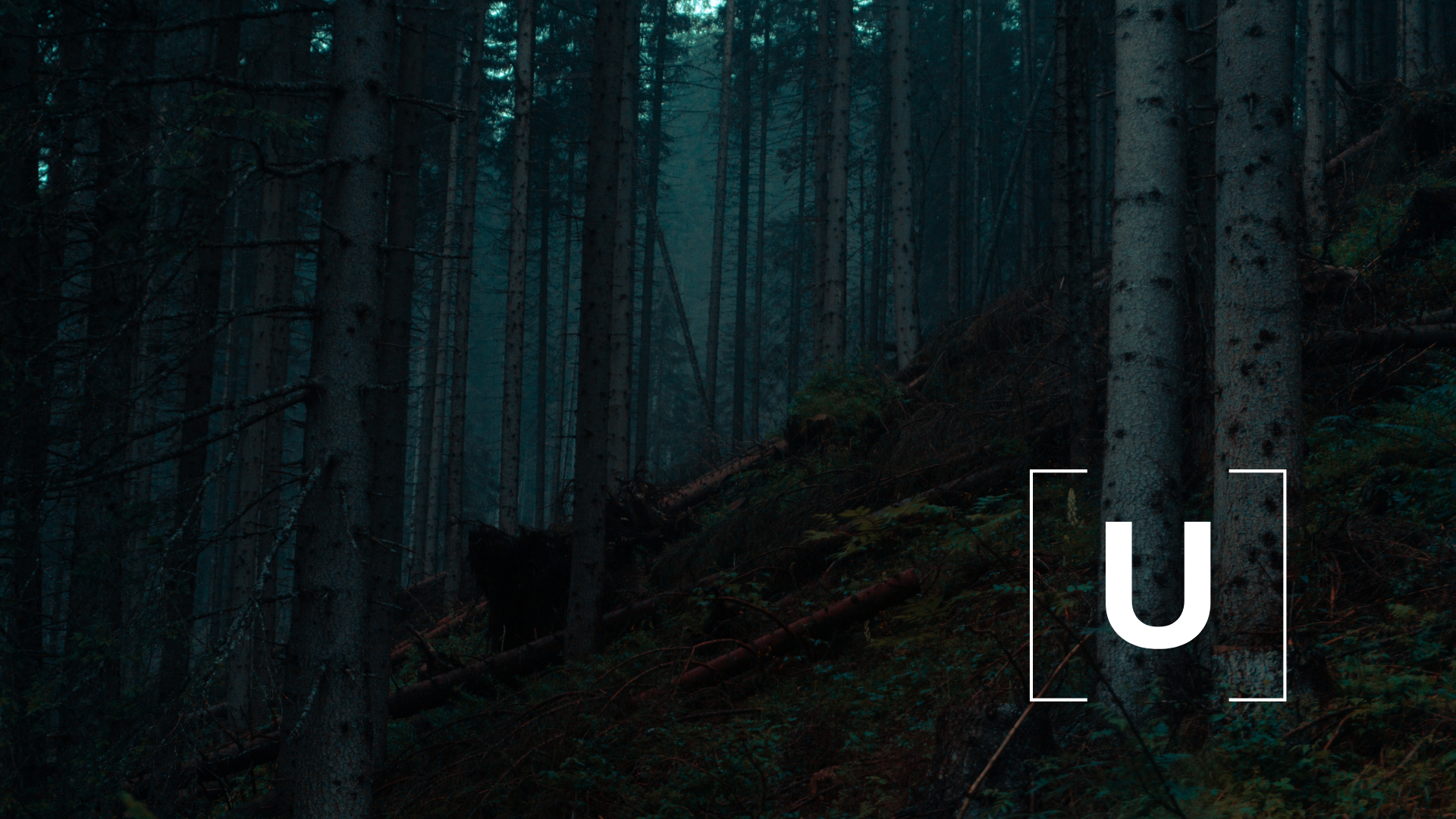 Blog Thumbnail