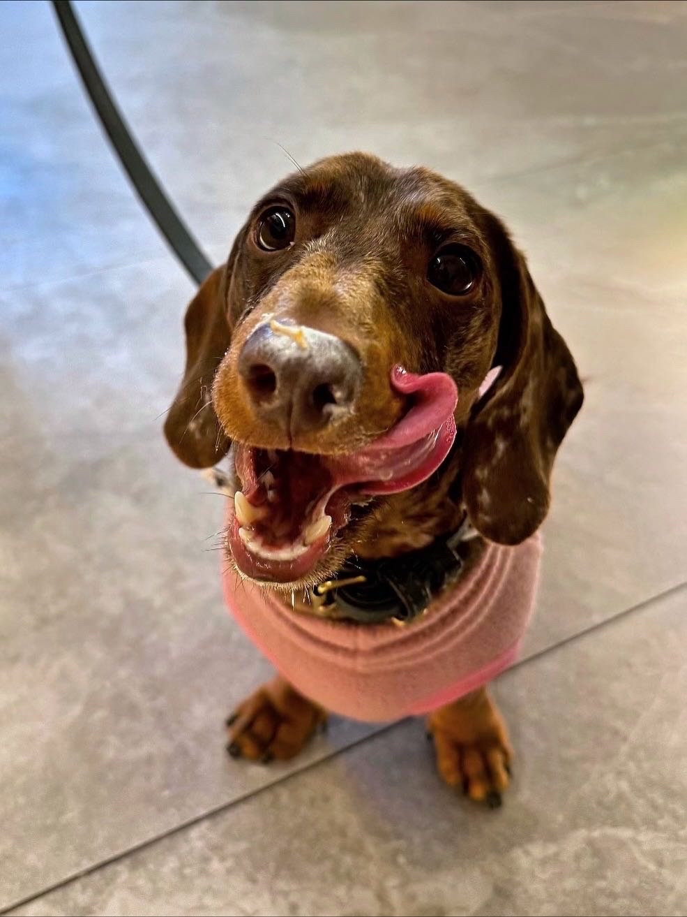 A happy customer at Charly's Treat Bar