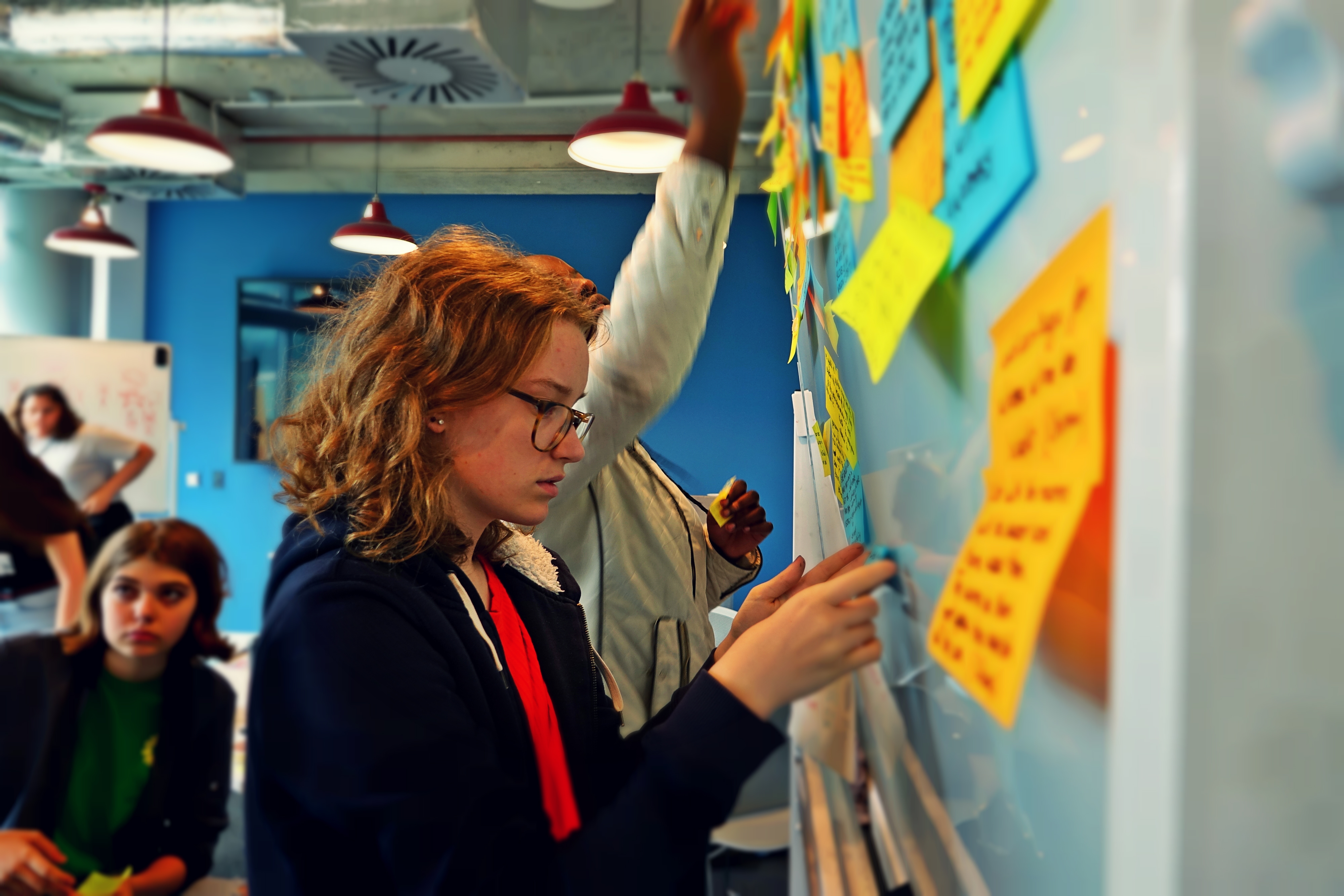 Sustainable Development Goals workshop