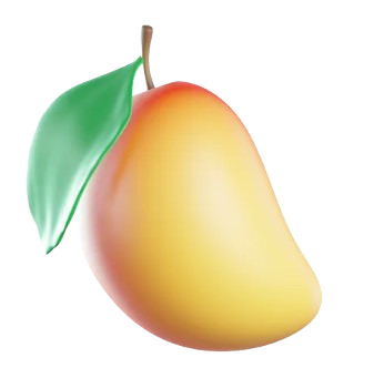 Ripe mango with green leaf and brown stem on transparent background.