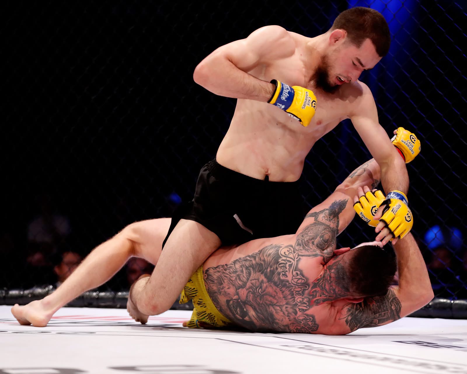 Two mixed martial artists with yellow gloves in a cage fight, one on top delivering a punch to the other lying on the ground with extensive back tattoos.