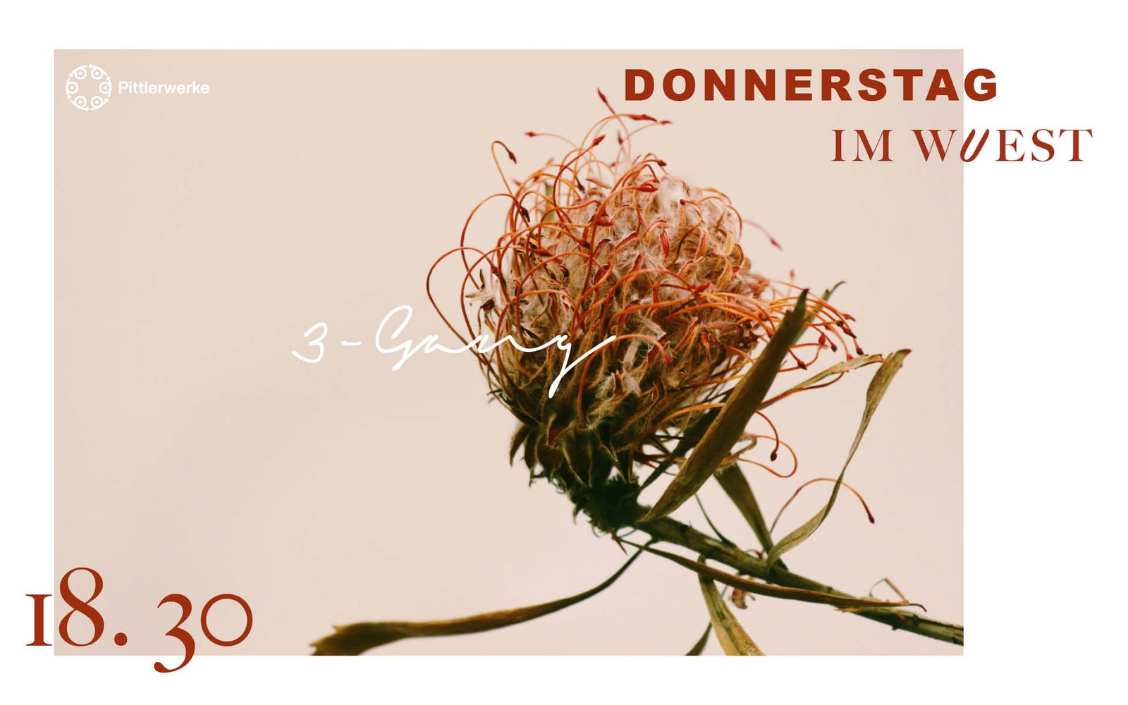 Thursday | 3-Course-Menu | WUEST