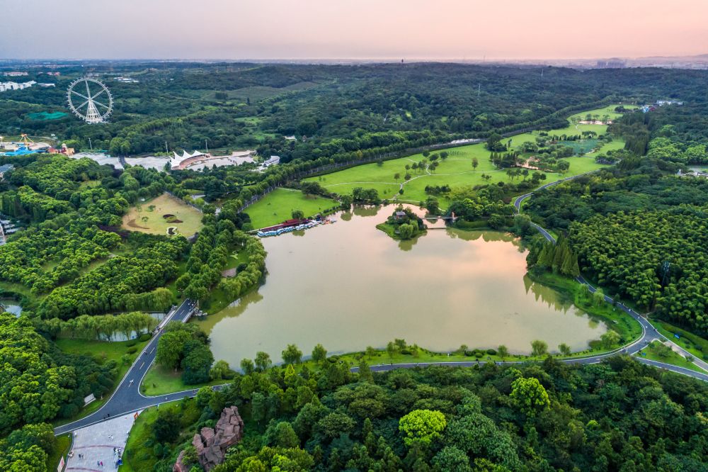 Net-Zero Districts Unlocking Sustainable Urban Growth and Climate Resilience