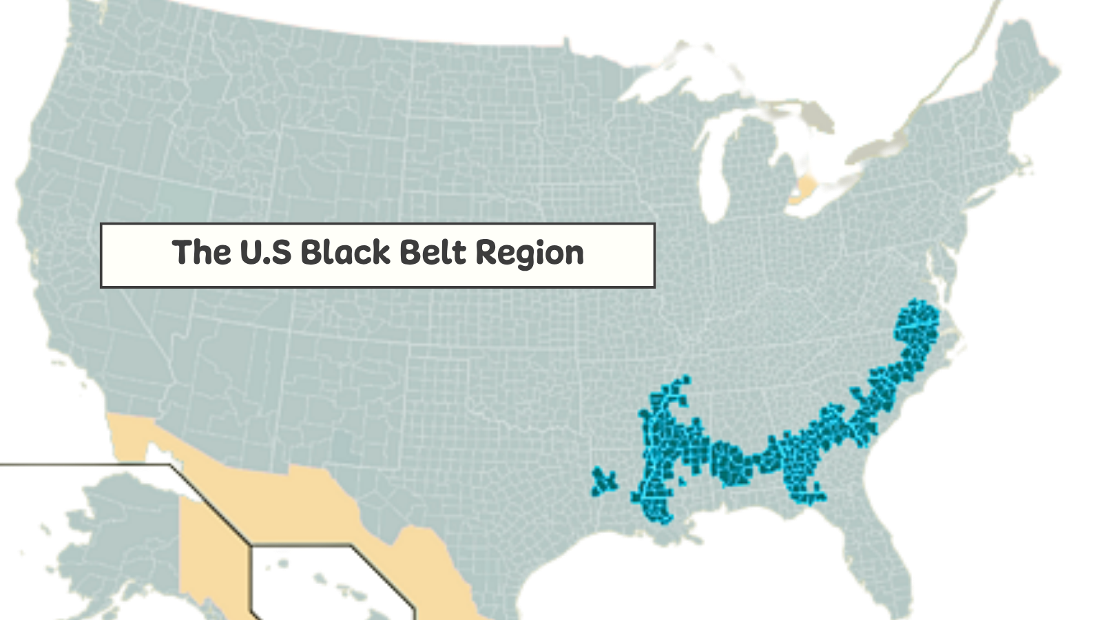 black belt map