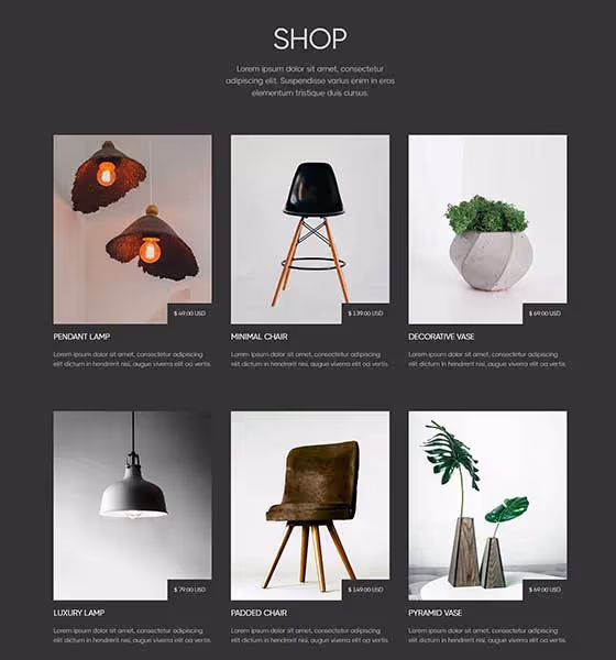 Screenshot Shop - Arko Webflow Template
