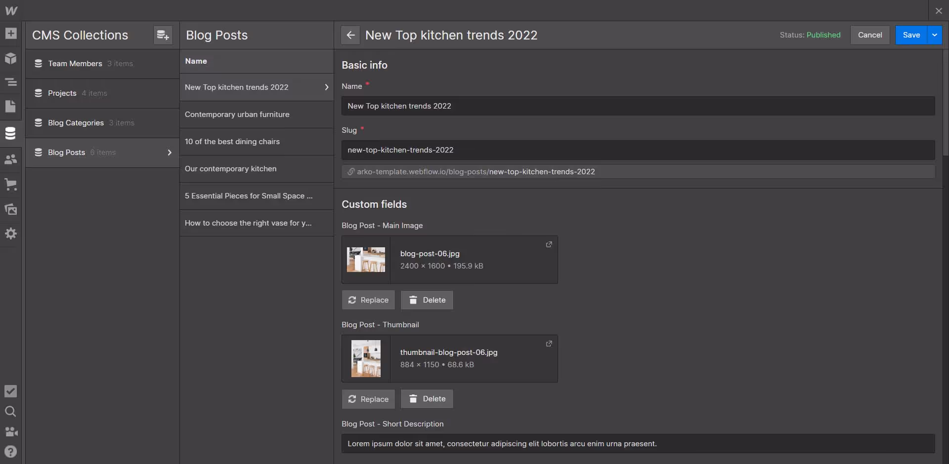 CMS Instructions - Arko Webflow Template