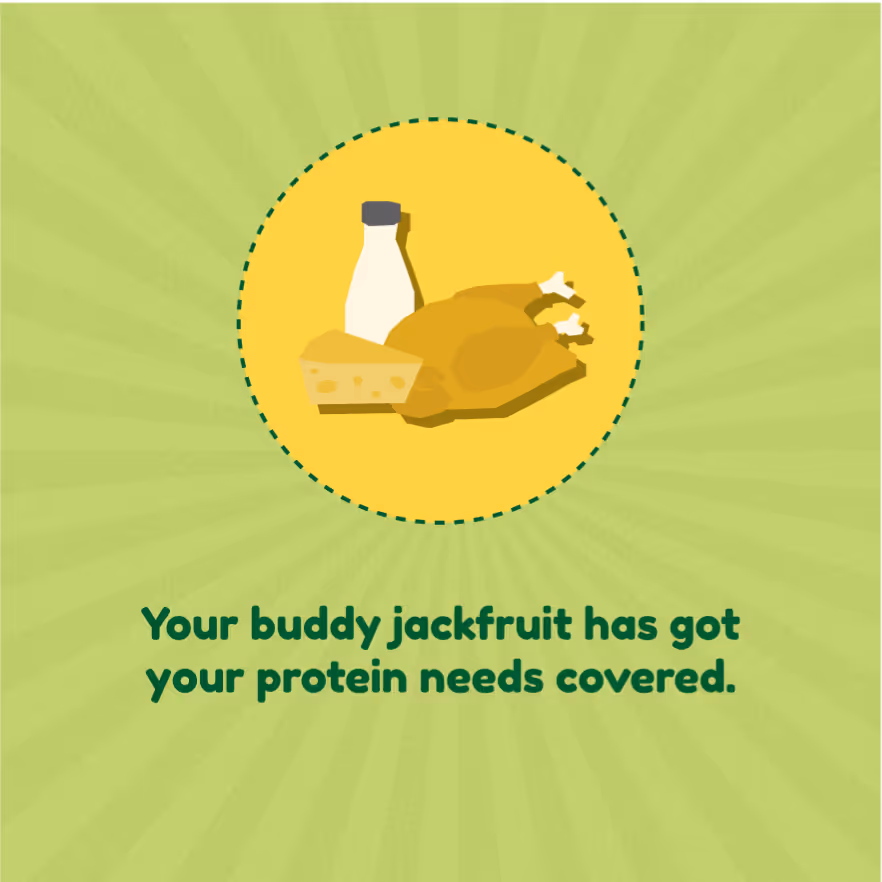 Illustration showing a bottle of milk, a wedge of cheese, and a roasted chicken with the caption 'Your buddy jackfruit has got your protein needs covered.'