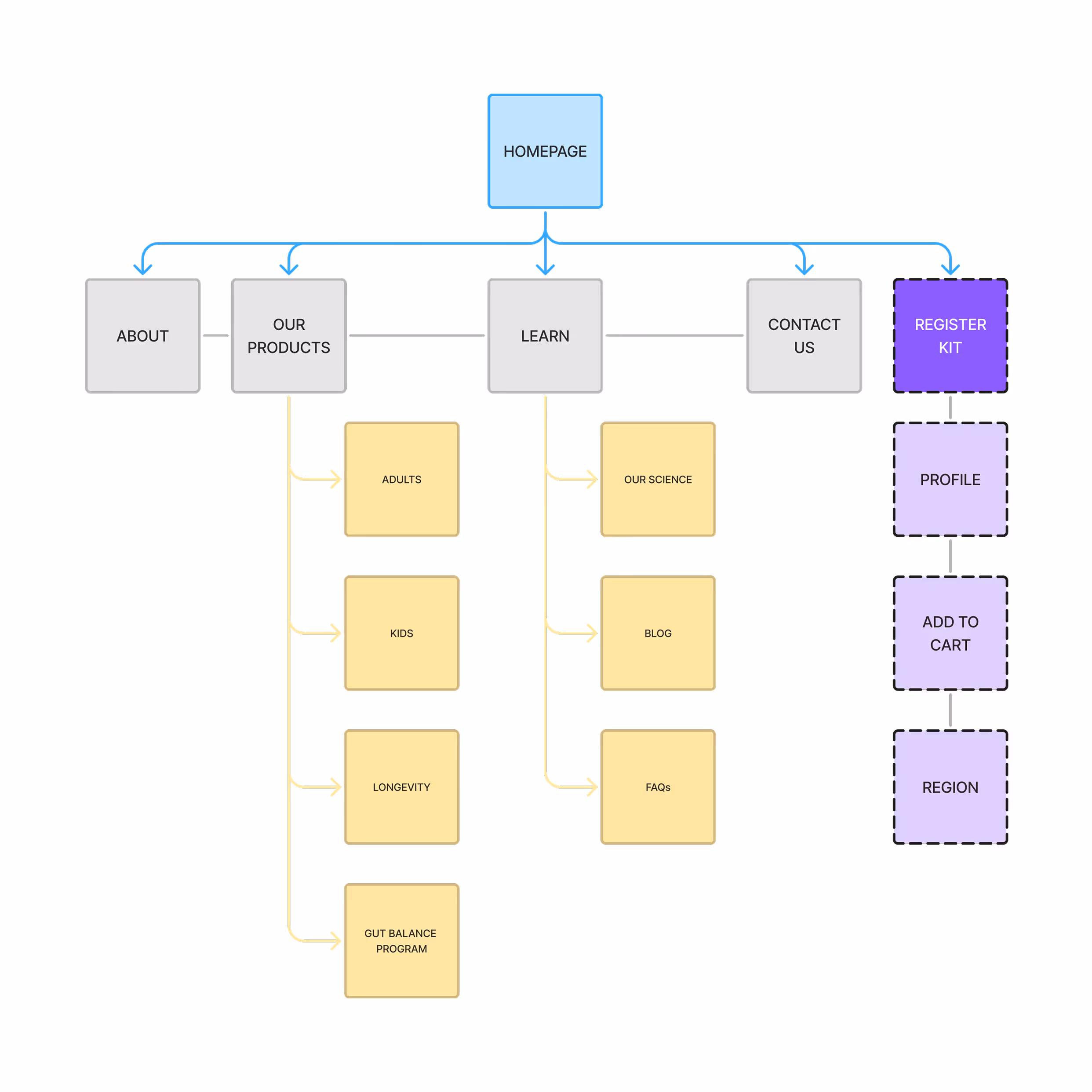 Website sitemap diagram starting with Homepage branching to About, Our Products, Learn, Contact Us, and Register Kit; Our Products expands to Adults, Kids, Longevity, and Gut Balance Program; Learn expands to Our Science, Blog, and FAQs; Register Kit expands to Profile, Add to Cart, and Region.