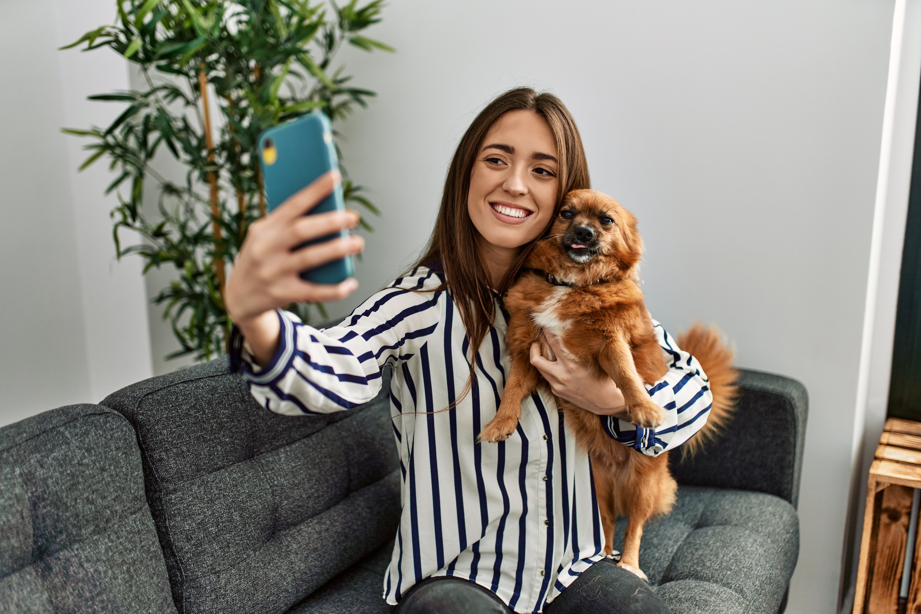 A resident taking a selfie with their dog in a modern living room at Rancocas Pointe, highlighting the community's pet-friendly apartments and spacious interiors
