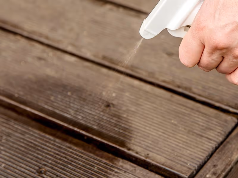 homeowner spraying ants