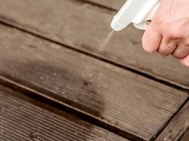 homeowner spraying ants