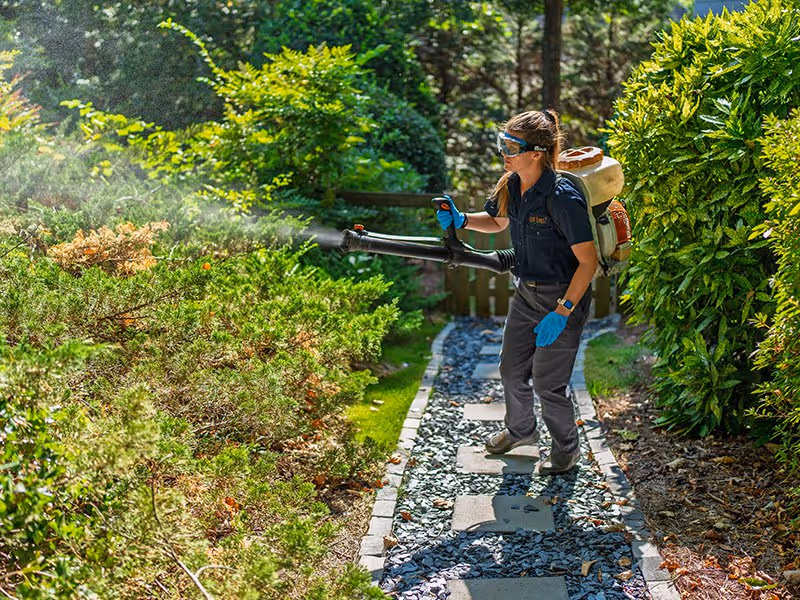 pest technician spraying mosquito treatment