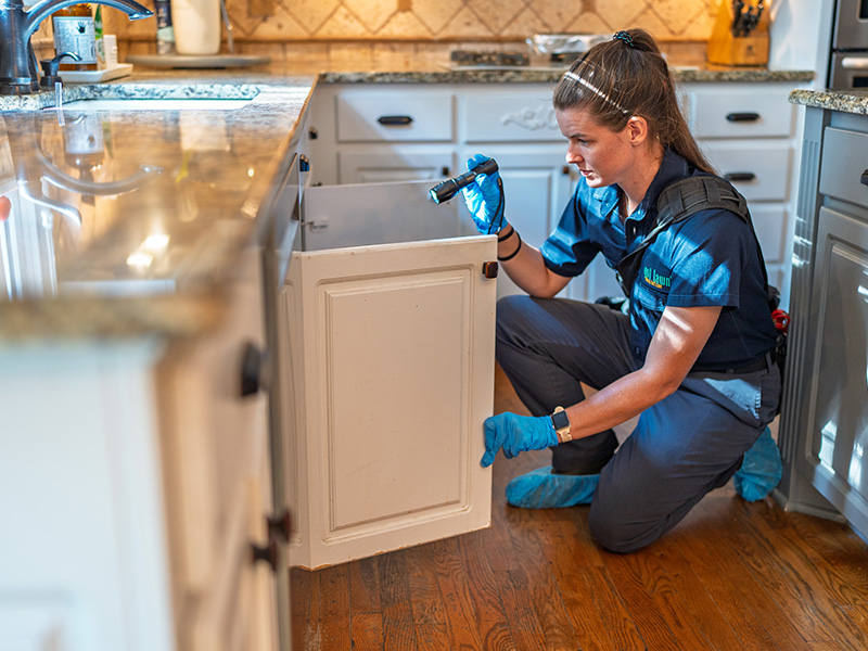 pest technician inspecting under a sink