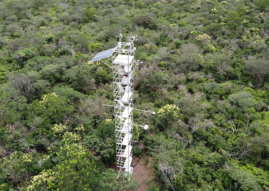 Flux tower installed in the middle of dense vegetation, surrounded by native forest. The structure collects high-precision data on evapotranspiration, carbon fluxes, and other environmental variables.