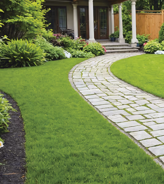 Stone walkway with cut grass leading to house