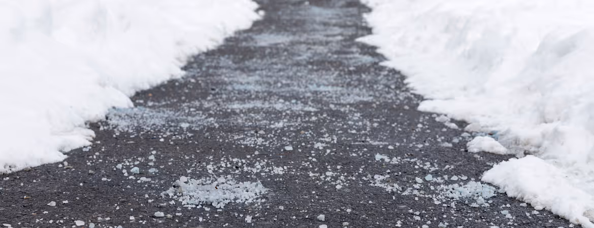 Salted walkway with snow surrounding