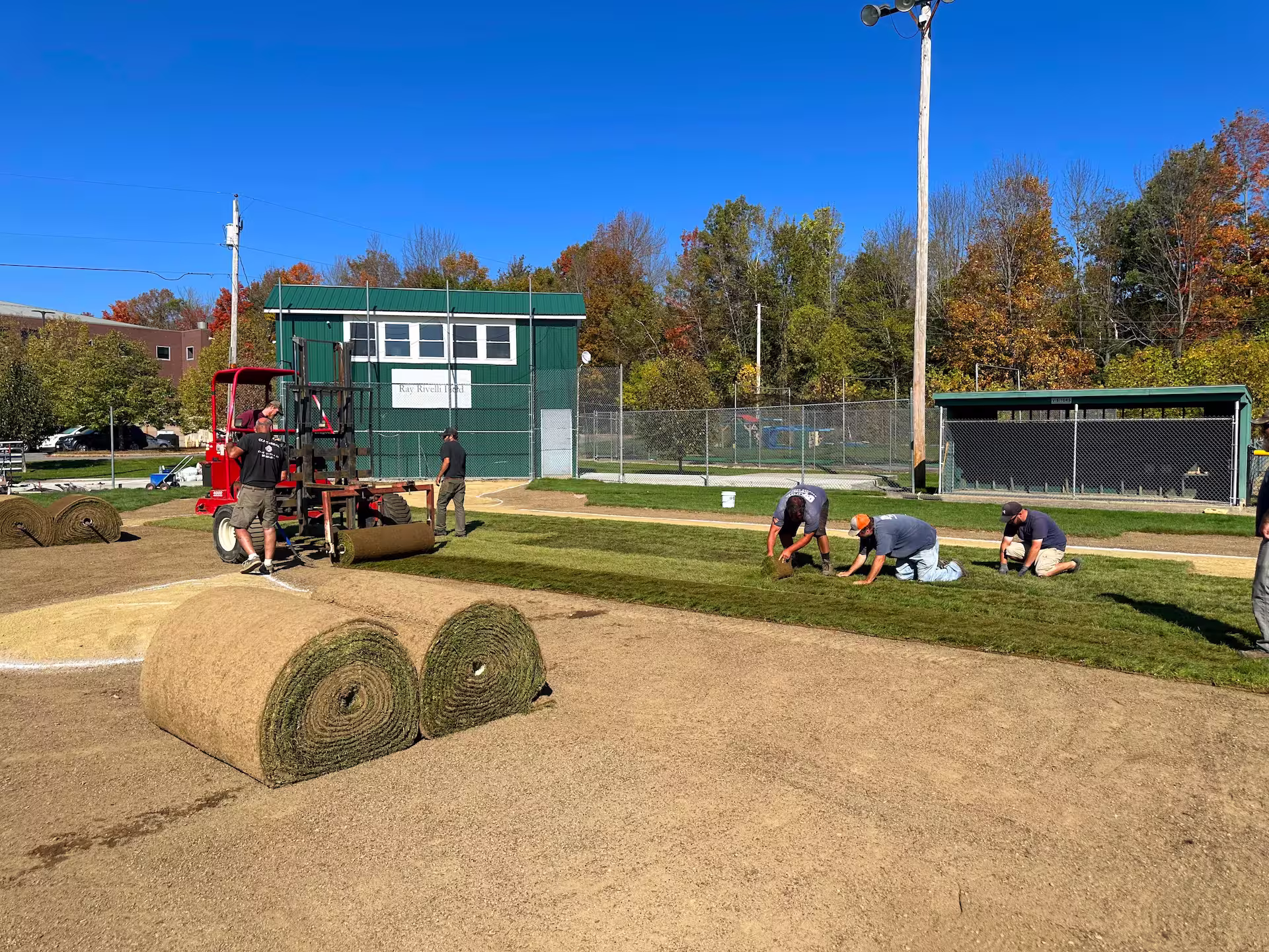 Laying grass on baseball field