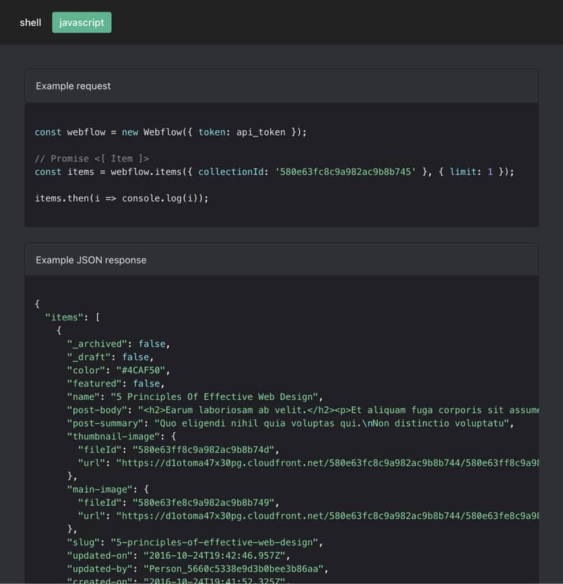 Preview of CMS API docs materials stating both Javascript and Shell syntax available