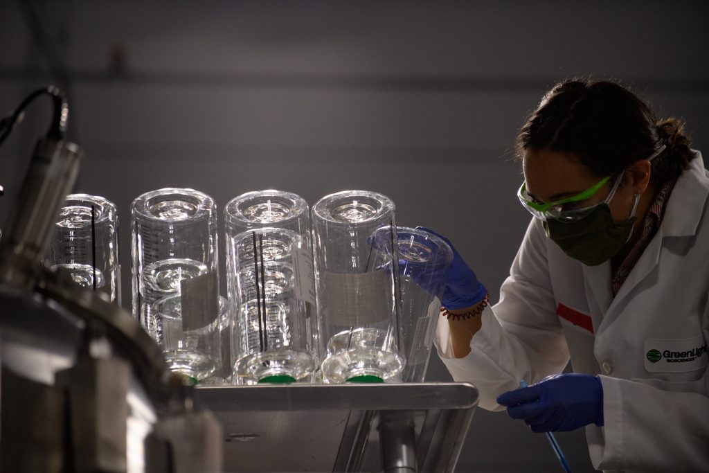 Inspecting clear containers for formulations at GreenLight's Rochester, New York, manufacturing facility.