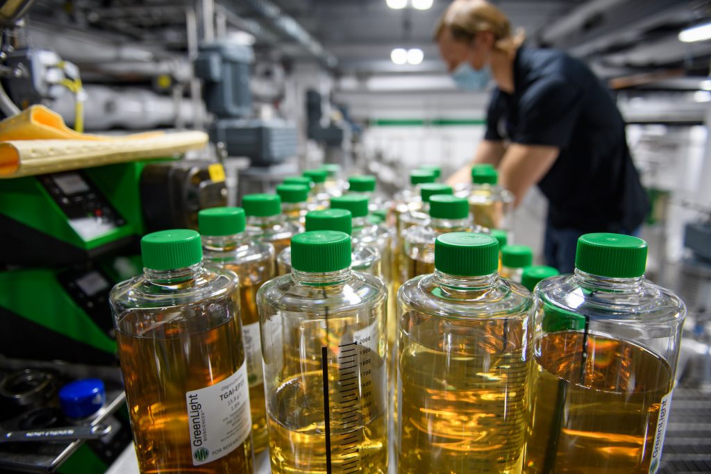 Rows of clear bottles filled with formulations at GreenLight's Rochester manufacturing facility.