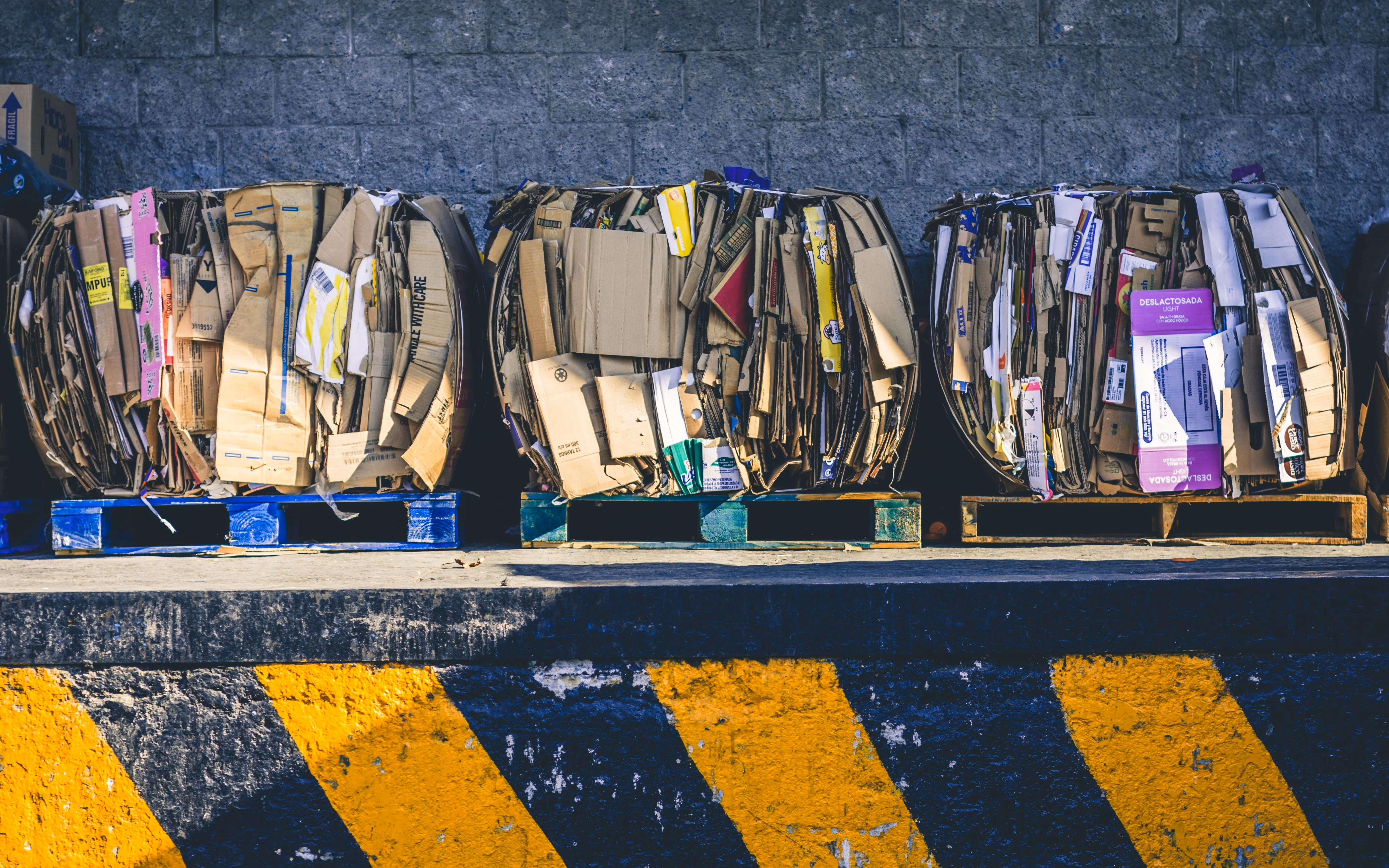 Stacks of compressed cardboard bales placed on wooden pallets against a gray concrete wall.