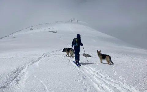 Stay in Chamonix Mont-Blanc with your pet at the luxury hotel