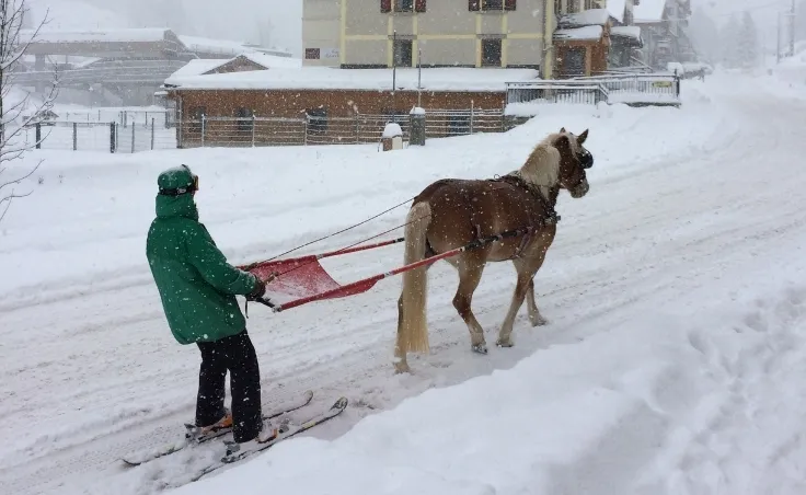 Ski Joëring Chamonix