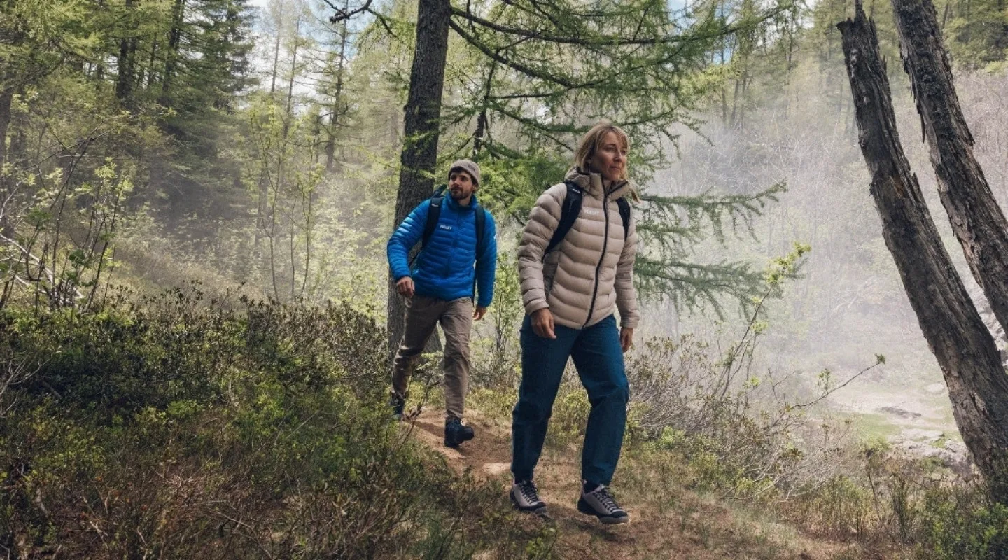Vue panoramique de Chamonix en été avec montagnes verdoyantes et ciel dégagé.