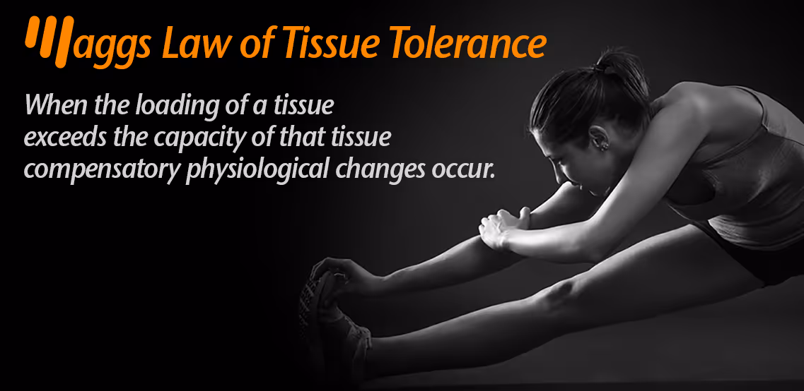 people write something