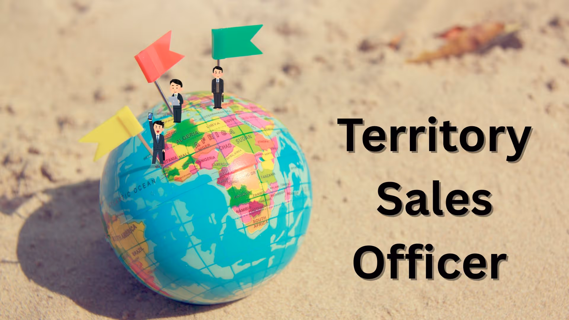 Territory Sales Officer: Meaning & Role