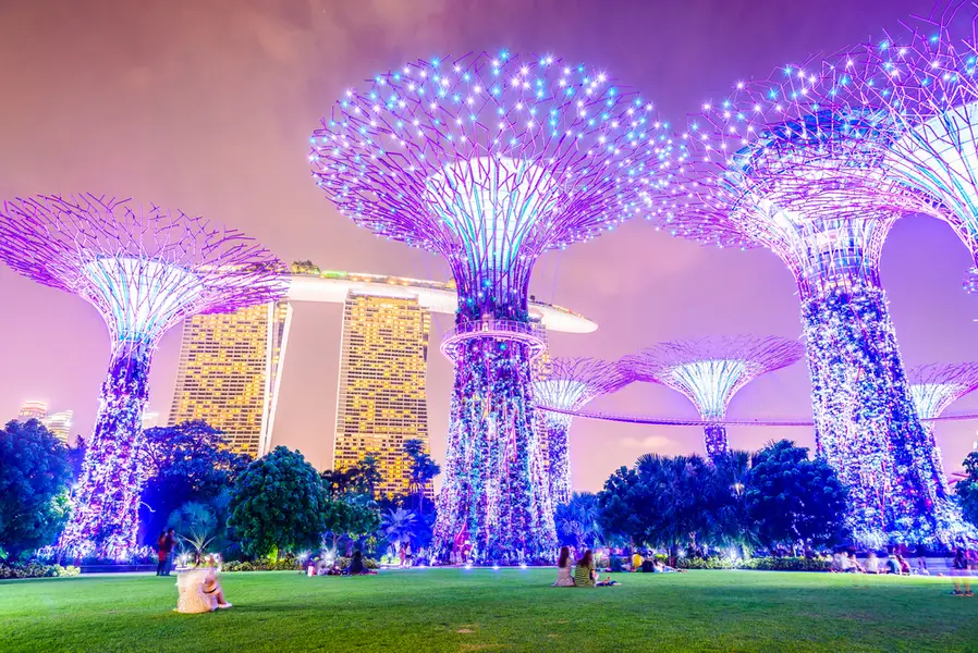 Supertree Grove di Gardens by the Bay Singapore dilihat dari bawah dengan perspektif dramatik