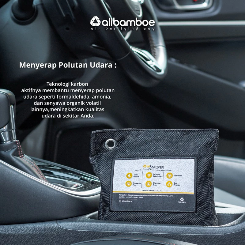 Air Purifying Bag