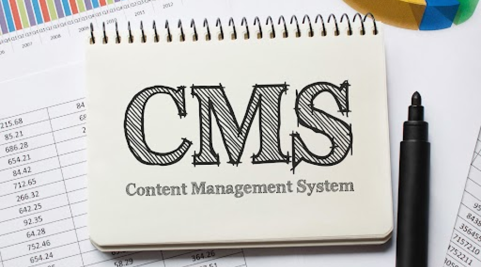Understanding Content Management Systems