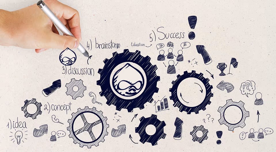 Key Qualities to Look for in a Drupal Development Service Provider