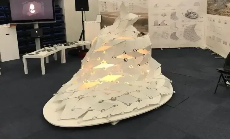 Proto21 and Myata Guinness World Record