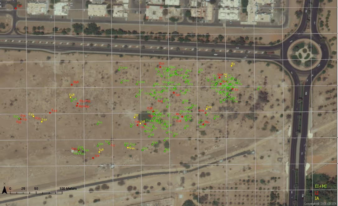 New evidence for the Early Islamic landscape of Al Ain Fieldwalking and surface ceramics from Slemi, Jimi Region