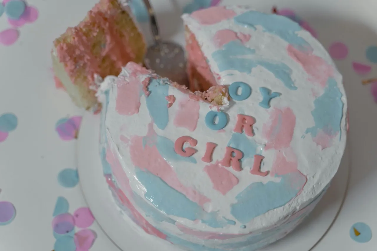 Kreative Gender Reveal Party in Wien mit individeuller Torten Dekoration – emotionale Überraschung von Babybloom