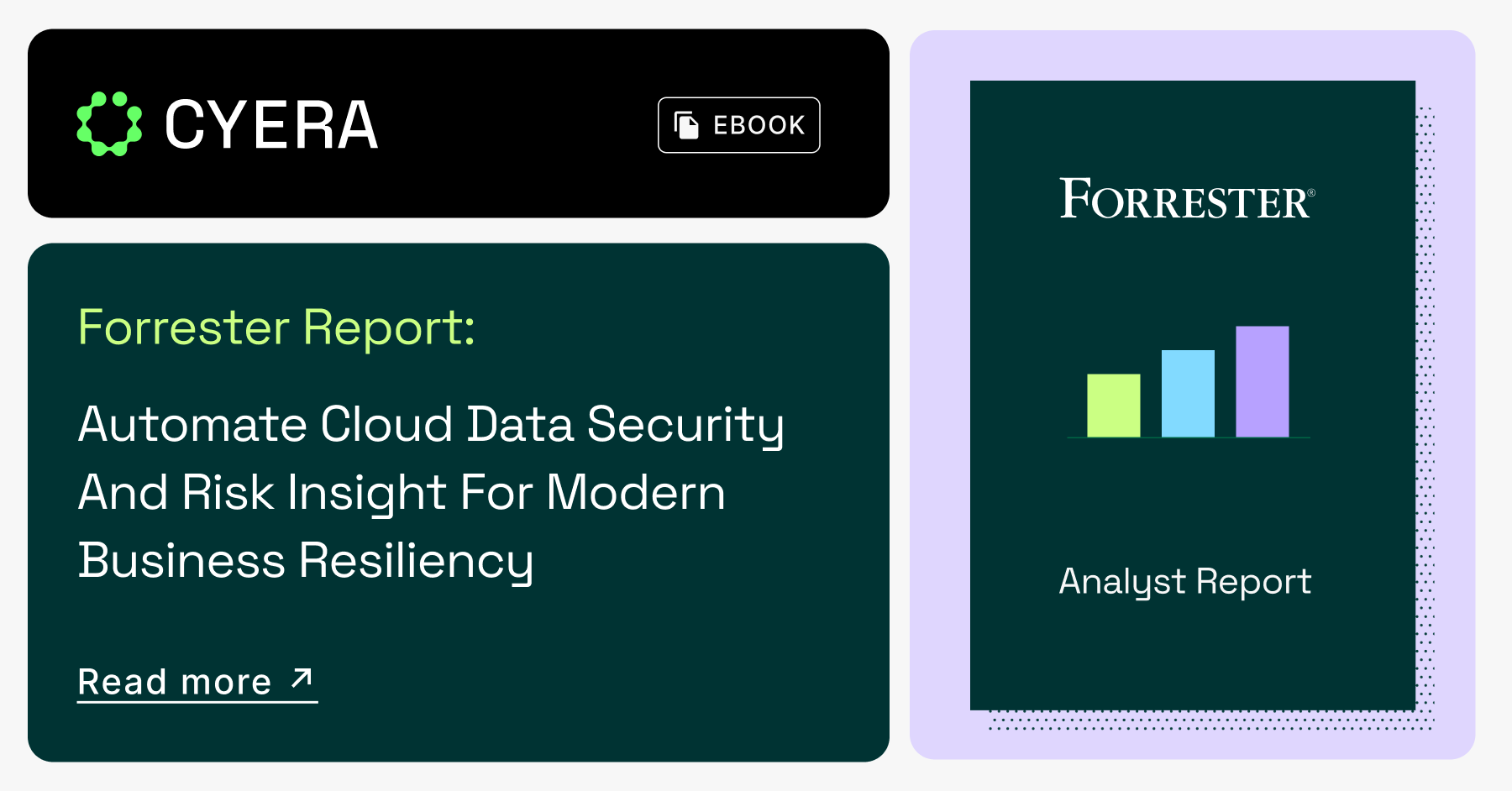 Forrester Research Report: Automate Cloud Data Security and Risk Insight for Modern Business Resiliency