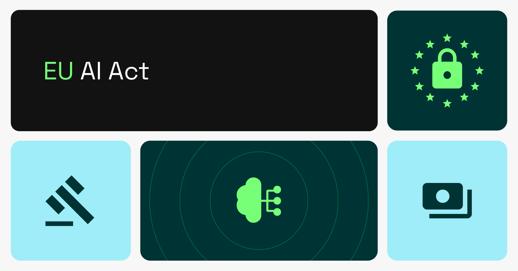 An Overview of the EU AI Act