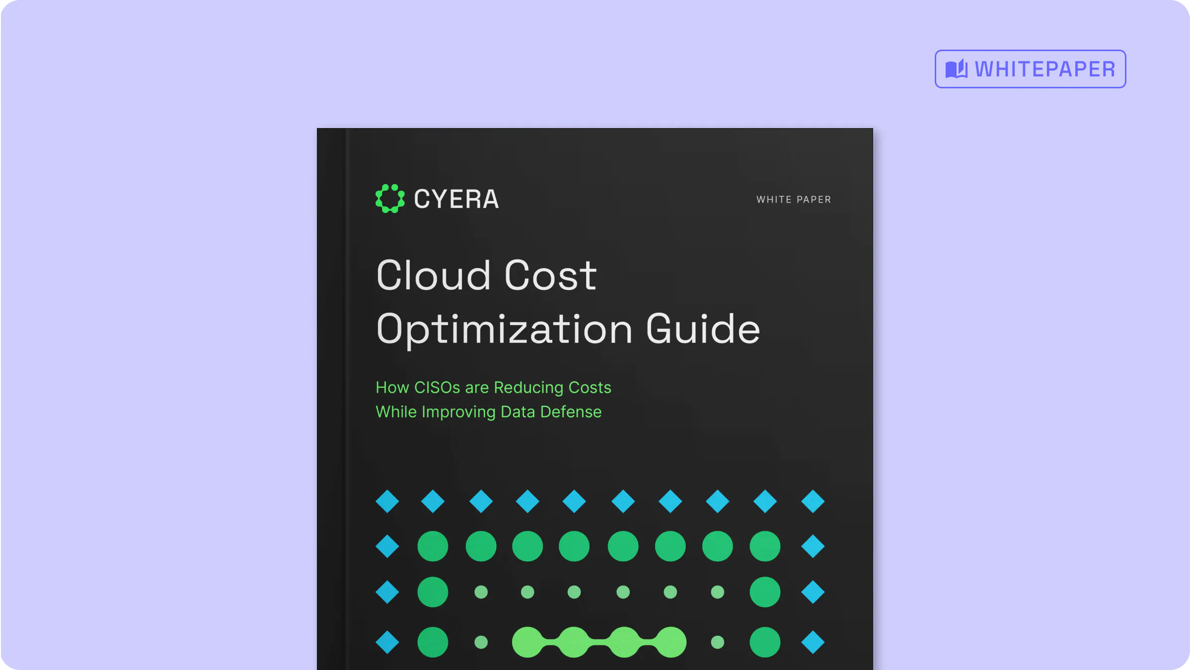 Cloud Cost Optimization Guide: How CISOs are Reducing Costs While Improving Data Defense