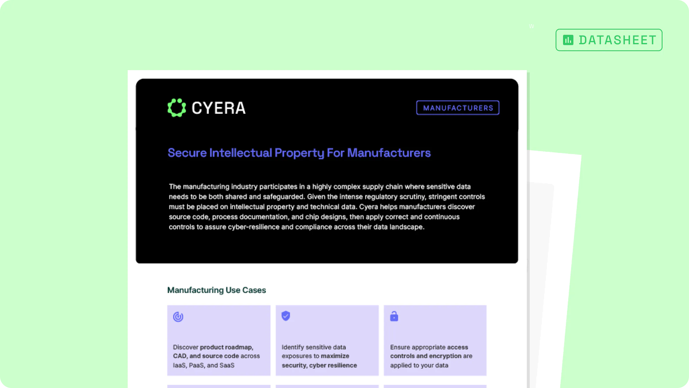 Cyera for Manufacturing | Industry Datasheet