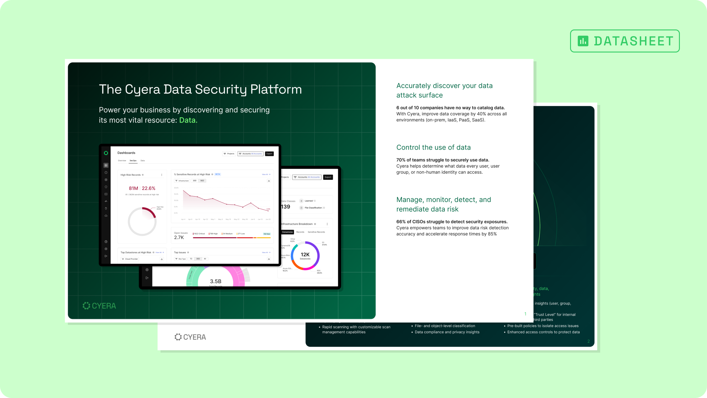 Cyera Platform Brief