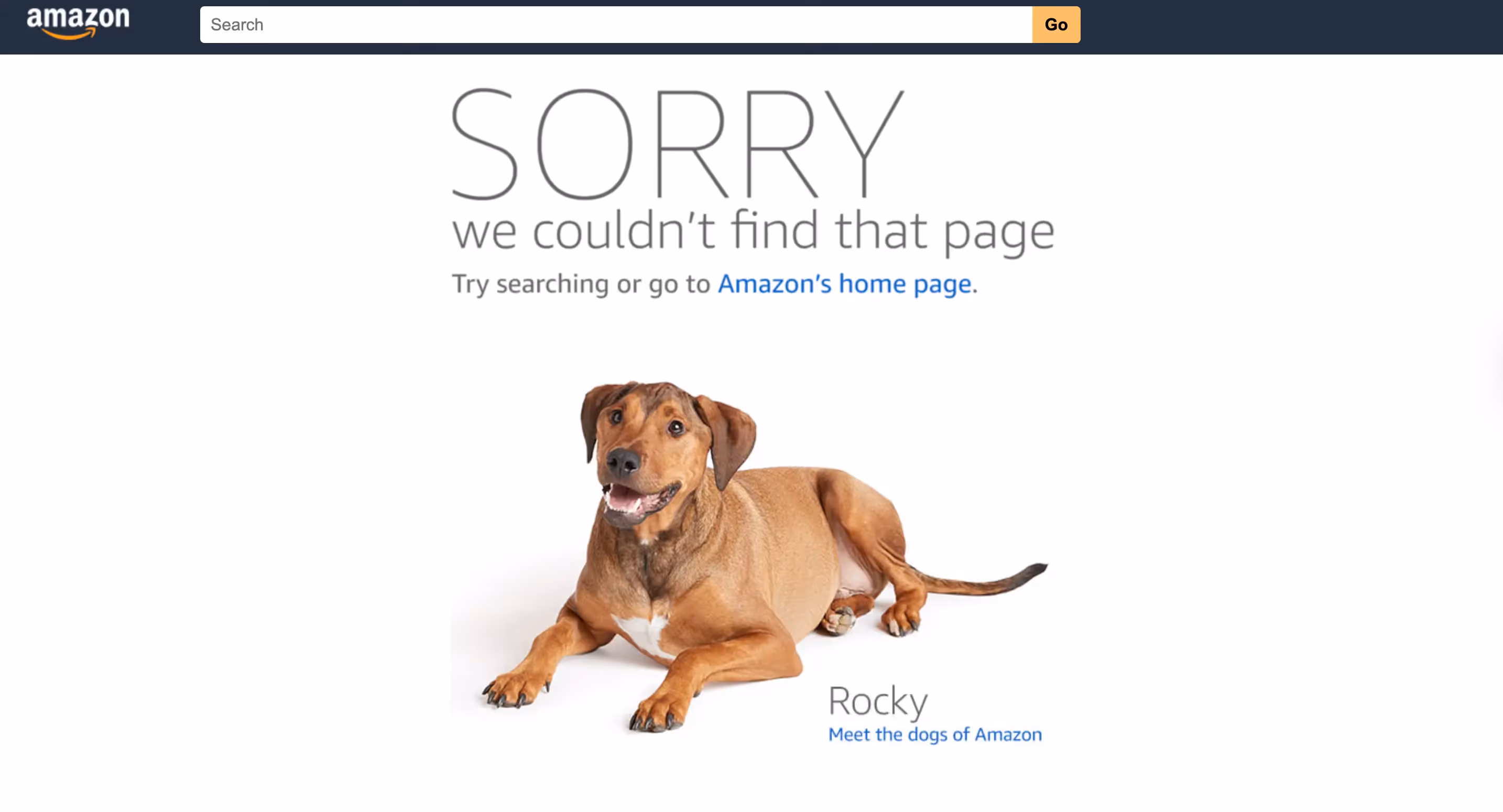 Amazon 404 page UX