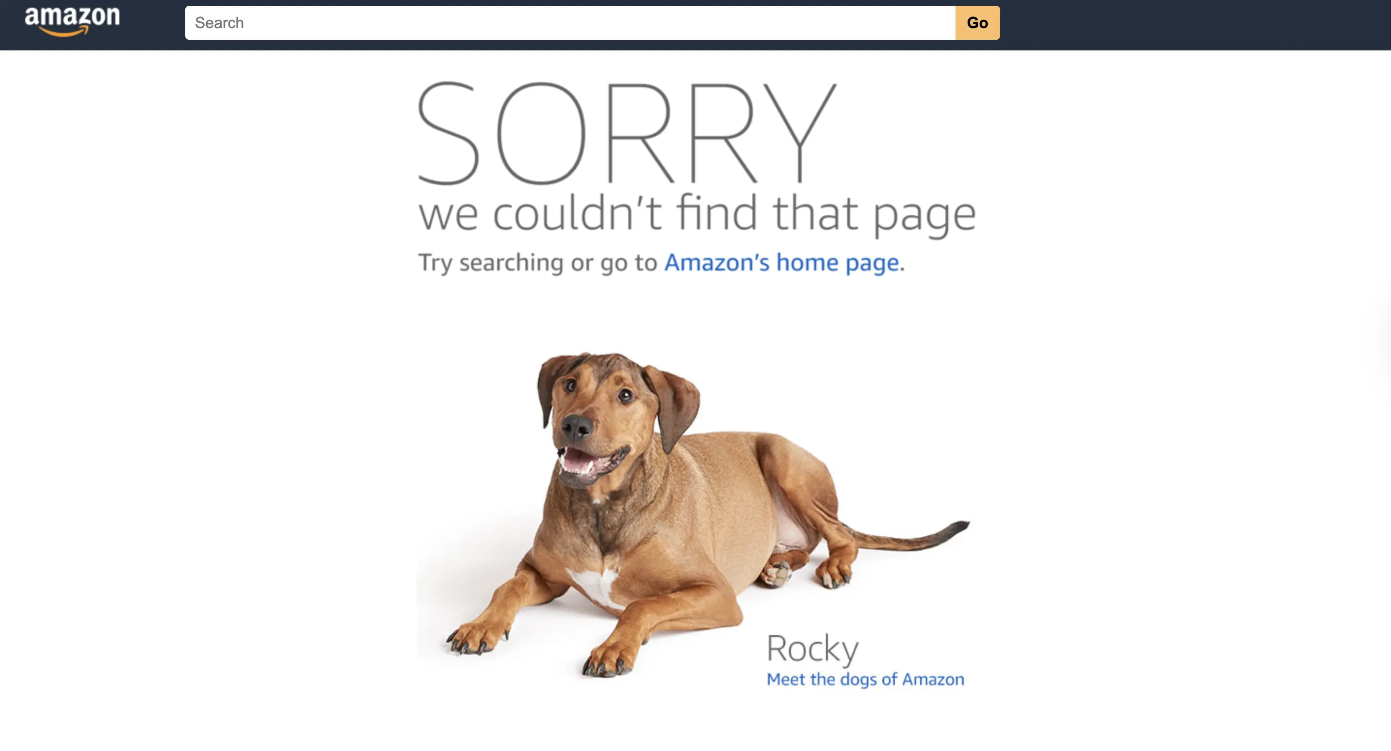 Amazon 404 page UX