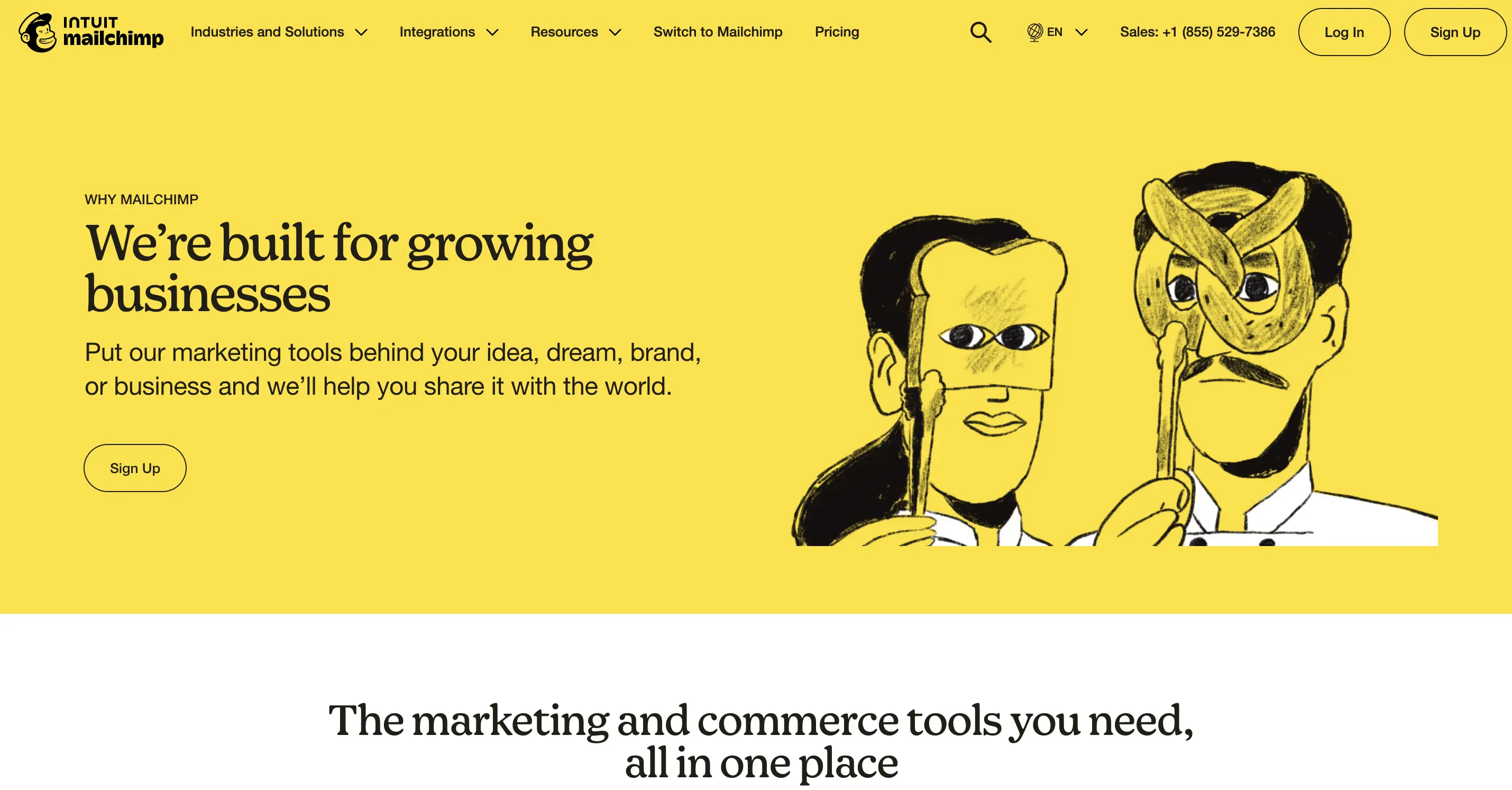 Mailchimp colour combination