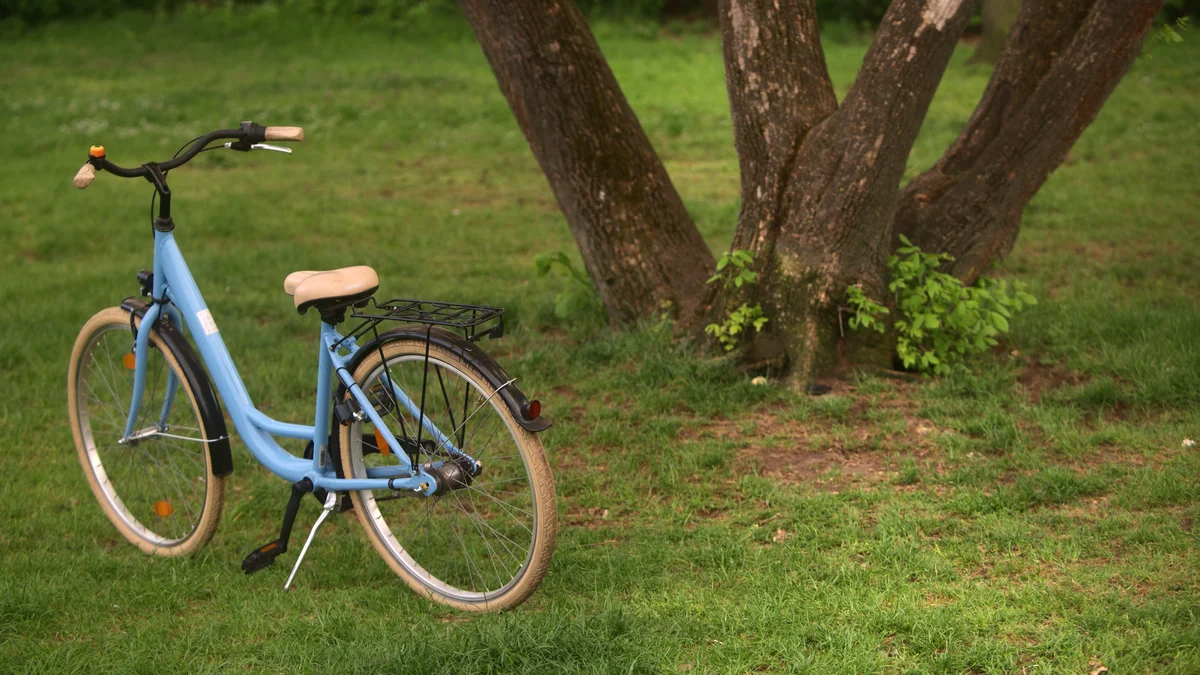 Orchestral tools Composer's Journey Competition photo, showing a bycicle in the grass under a tree