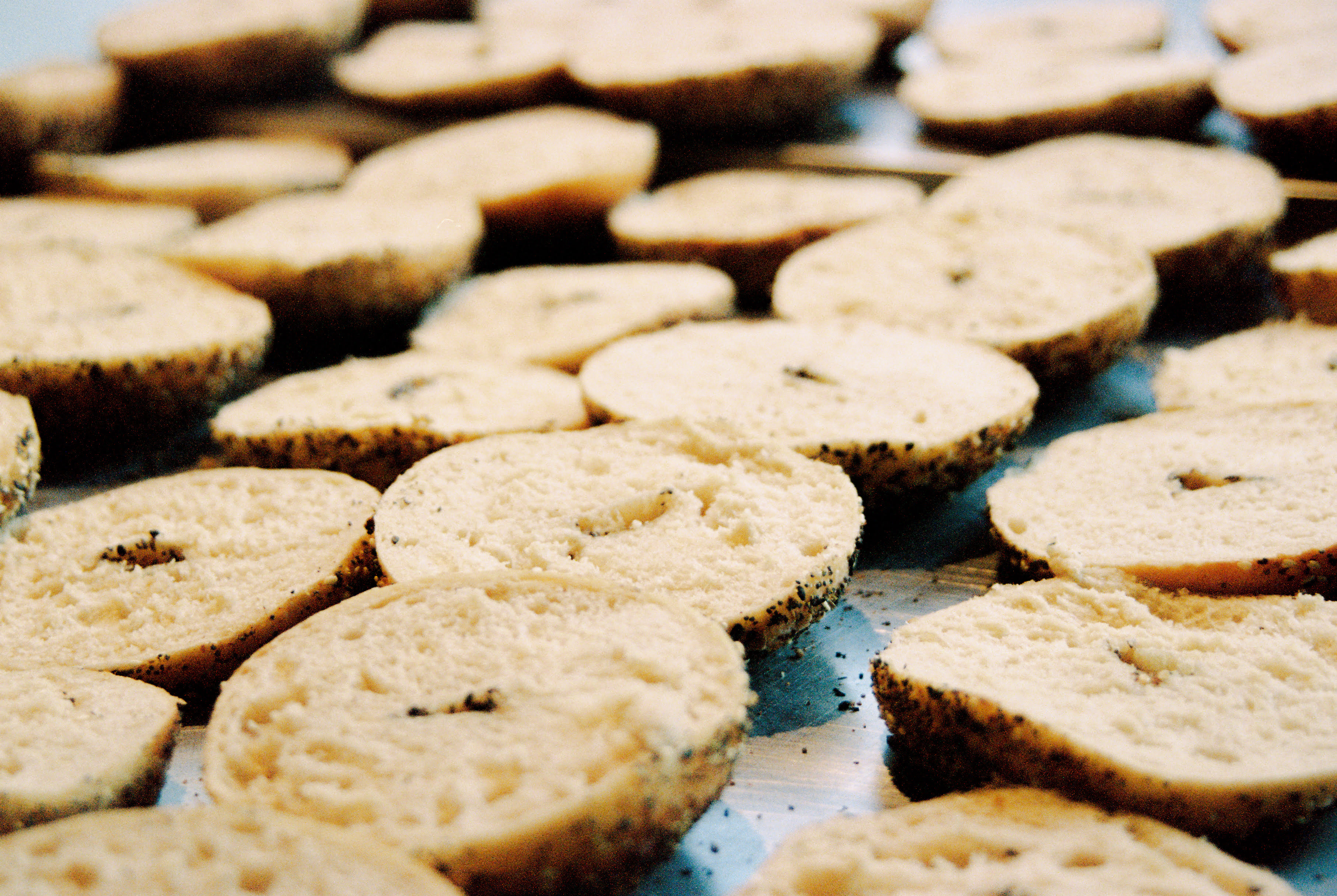 Freshly baked bagels on a tray.
