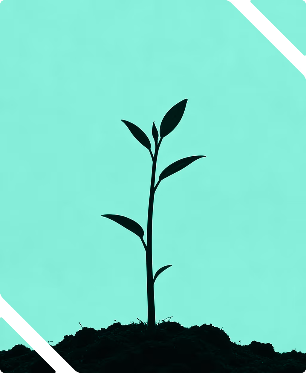 Silhouette of a young plant with leaves growing from soil on a turquoise background.