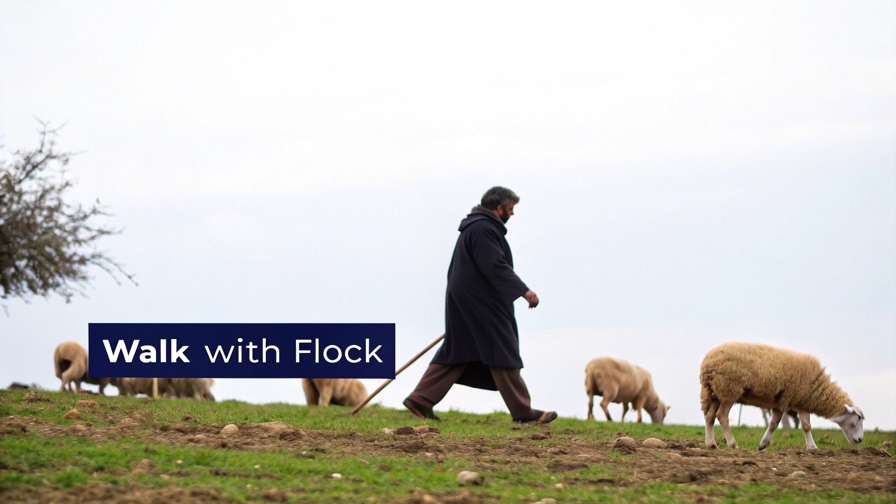 The shepherd always smells like sheep. - Unknown